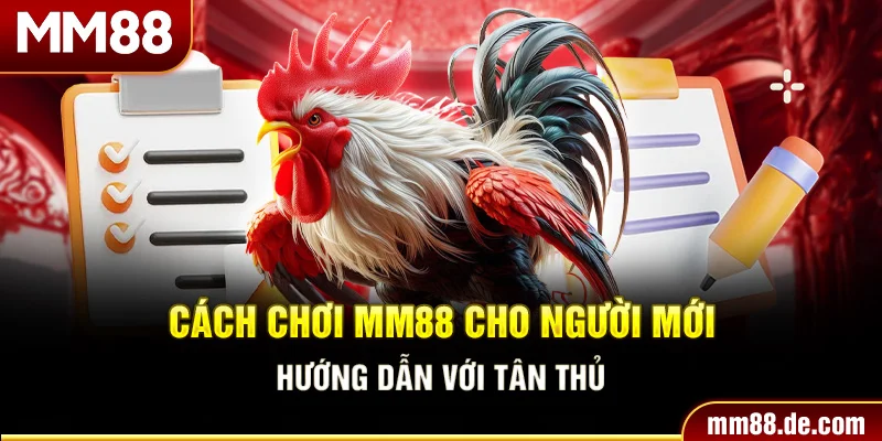 Cách Chơi MM88 Cho Người Mới