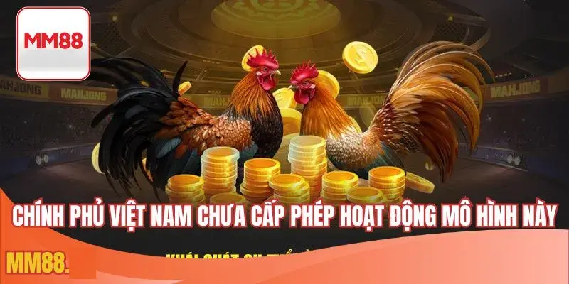 Chính phủ Việt Nam chưa cấp phép hoạt động mô hình này